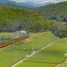 Mavic2 Proでハツドリ